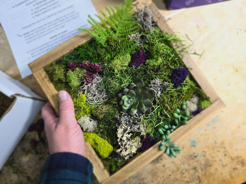 Moss Wall Art & Permanent Jewelry Craft & Sip Workshop: Monday, February 17th, 5:30pm