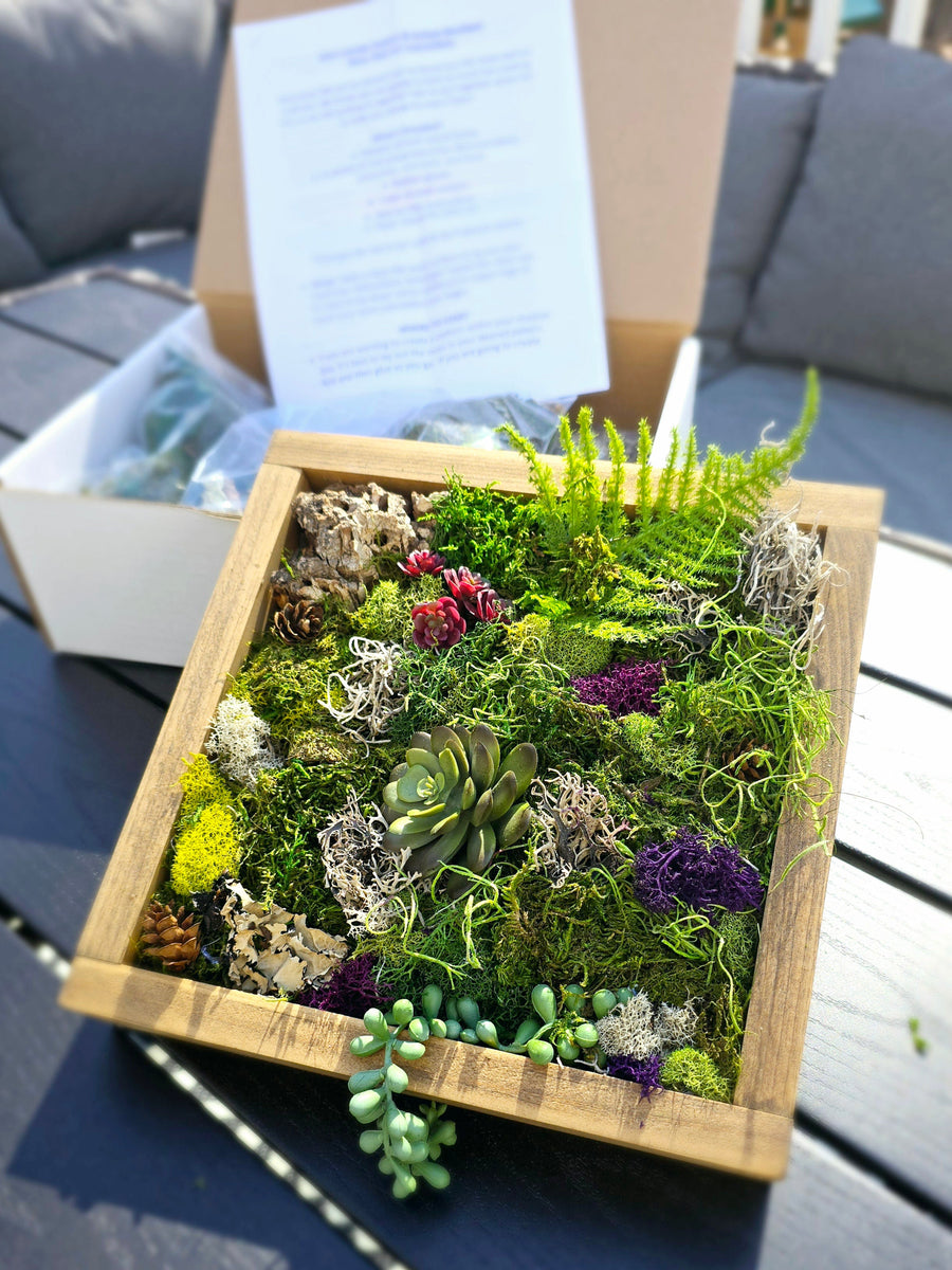 succulent moss wall DIY Moss Wall Art Kit – Gem Lounge Jewelry
