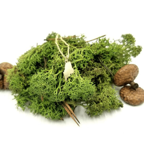 Mini Maine Gold Necklace