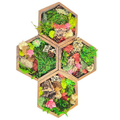 Moss Wall Art & Permanent Jewelry Craft & Sip Workshop: Monday, February 17th, 5:30pm