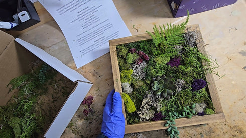 Moss Wall Art & Permanent Jewelry Craft & Sip Workshop: Monday, February 17th, 5:30pm